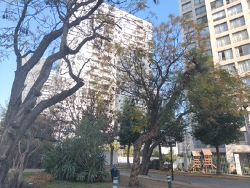 Arriendo Mensual / Departamento / La Florida