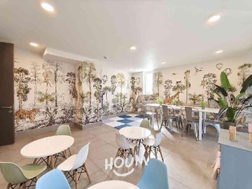 Imagen 22