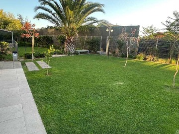 Imagen 23
