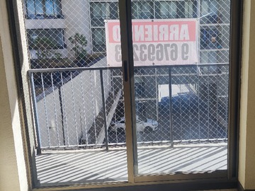 Imagen 7