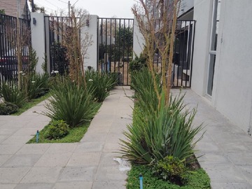 Imagen 15