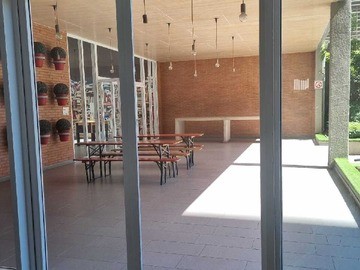 Imagen 20