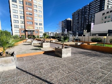 Imagen 11