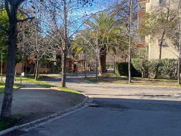 Imagen 19