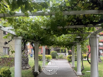 Arriendo Mensual / Departamento / La Florida