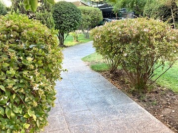 Imagen 20