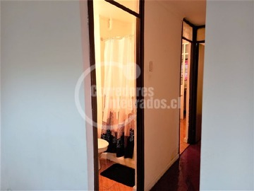 Imagen 20
