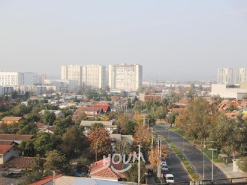 Imagen 25