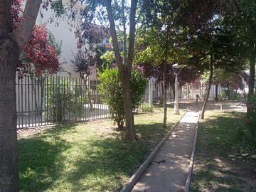 Imagen 17