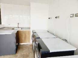 Imagen 10