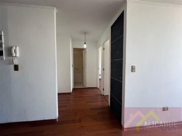 Imagen 7