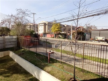 Imagen 13