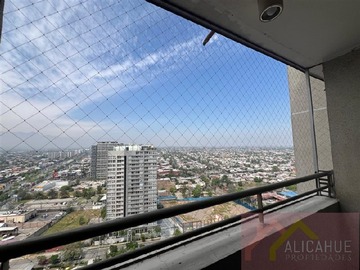 Imagen 15