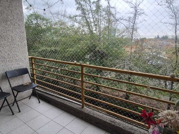 Imagen 20