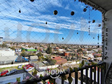 Imagen 5
