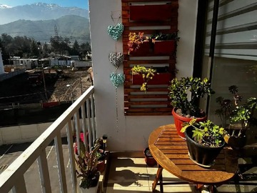 Imagen 12