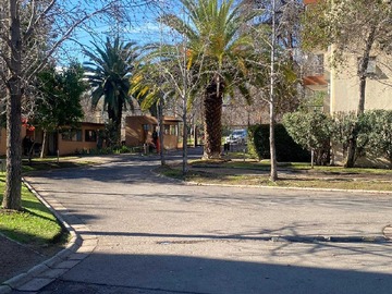 Imagen 14