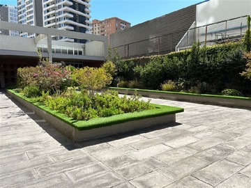 Imagen 8