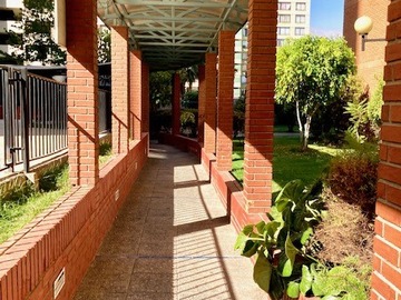 Imagen 19