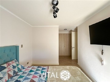 Imagen 7