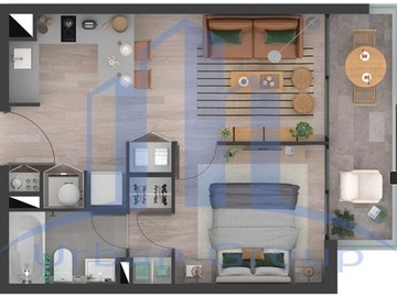 Imagen 11