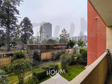 Imagen 5