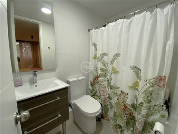 Imagen 12