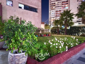 Imagen 11