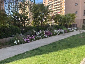 Imagen 22