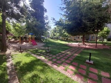 Imagen 13