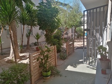 Imagen 26