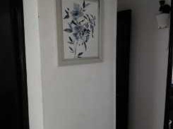 Imagen 11