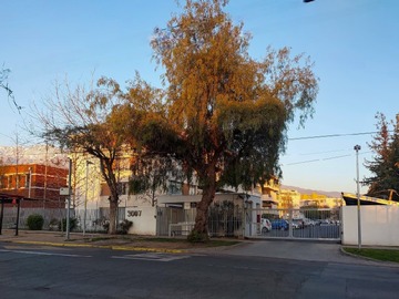 Imagen 22