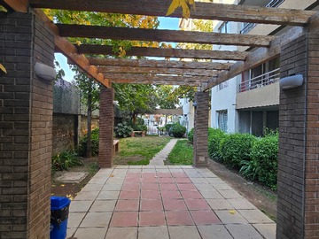 Imagen 22