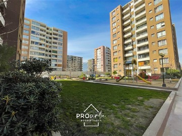 Imagen 30