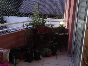 Imagen 6