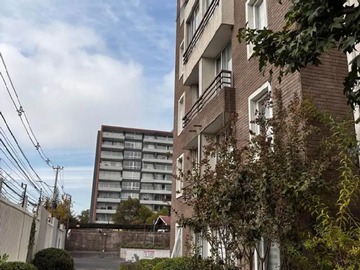 Imagen 19