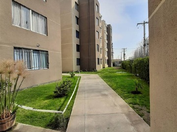 Imagen 11