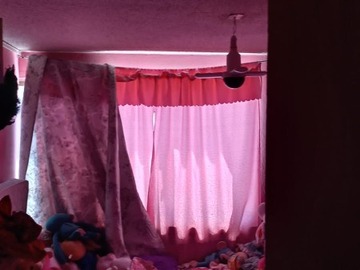 Imagen 5