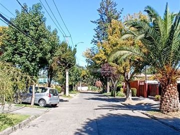 Imagen 22