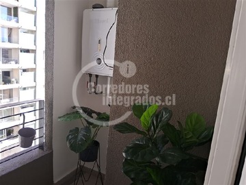 Imagen 12