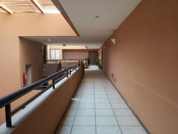 Arriendo Mensual / Departamento / La Reina