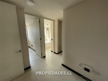 Imagen 7