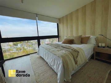 Imagen 5