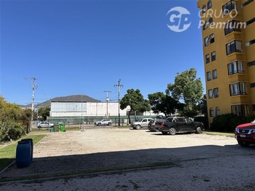 Imagen 5