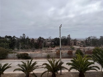Imagen 21