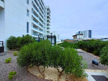 Arriendo Mensual / Departamento / La Serena