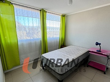 Imagen 7