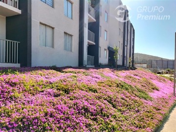 Arriendo Mensual / Departamento / La Serena