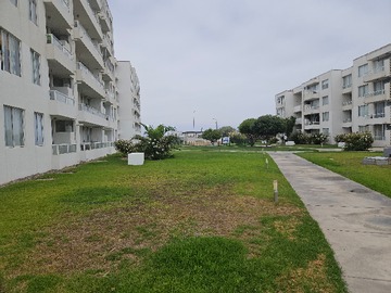 Imagen 16